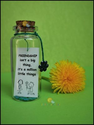 poruka u boci friendship isn't a bigg thing, it's a million little things