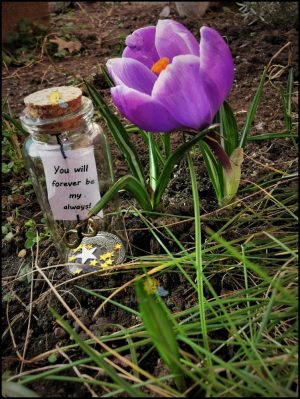 poruka u boci you will forever be my always