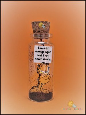 poruka u boci i am not always right