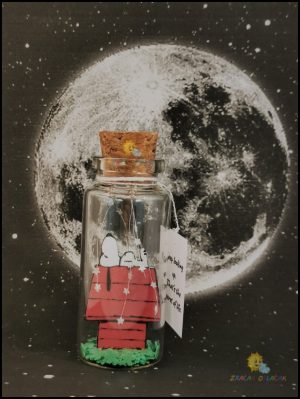 poruka u boci keep looking up