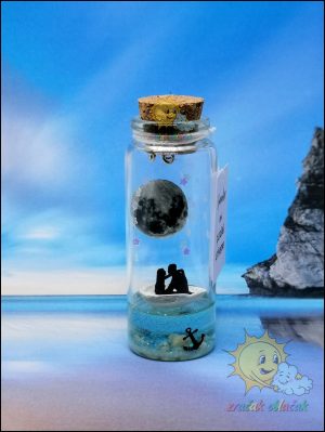 somewhere in a parallel universe